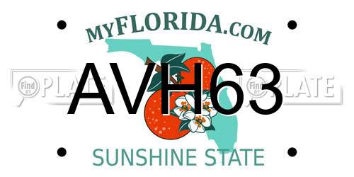 AVH63 Florida License Plate