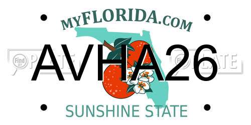 AVHA26 Florida License Plate
