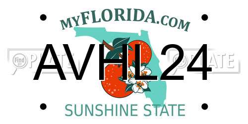 AVHL24 Florida License Plate