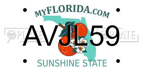 AVJL59 Florida License Plate