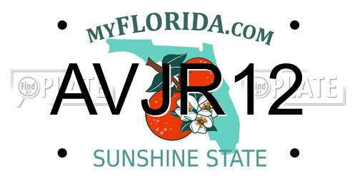 AVJR12 Florida License Plate