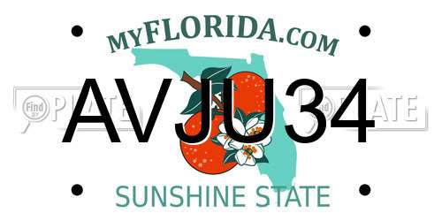 AVJU34 Florida License Plate