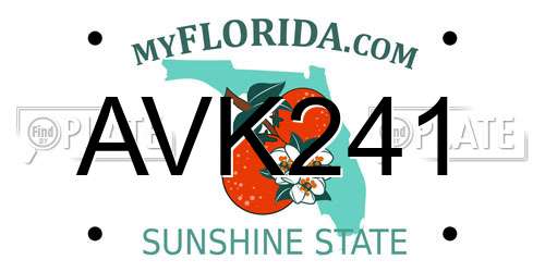 AVK241 Florida License Plate