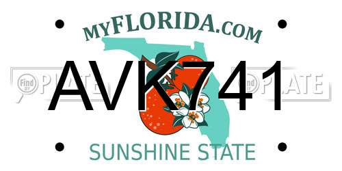 AVK741 Florida License Plate