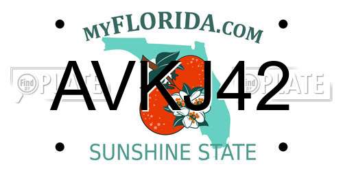 AVKJ42 Florida License Plate