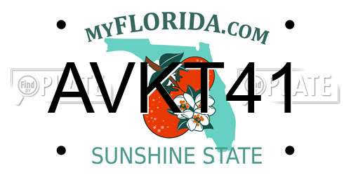 AVKT41 Florida License Plate