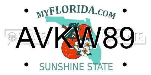 AVKW89 Florida License Plate