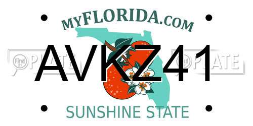 AVKZ41 Florida License Plate