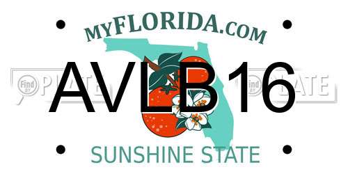 AVLB16 Florida License Plate