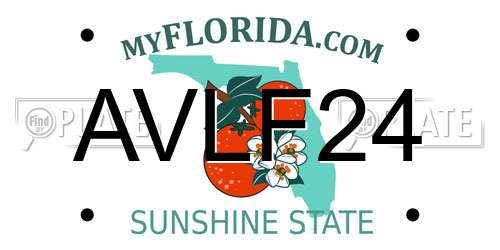 AVLF24 Florida License Plate