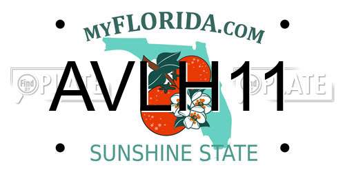 AVLH11 Florida License Plate