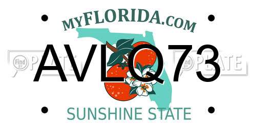 AVLQ73 Florida License Plate