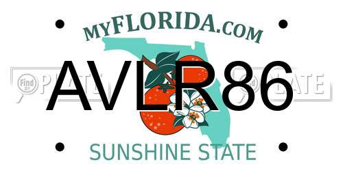 AVLR86 Florida License Plate