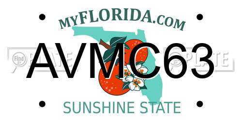 AVMC63 Florida License Plate