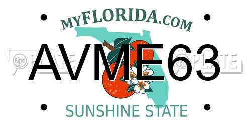 AVME63 Florida License Plate