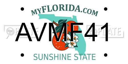 AVMF41 Florida License Plate