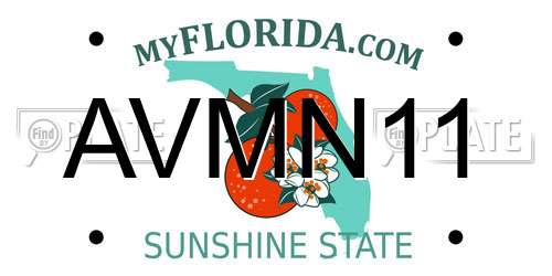AVMN11 Florida License Plate