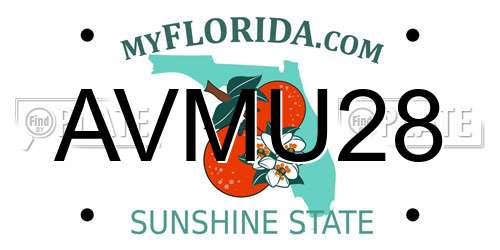AVMU28 Florida License Plate