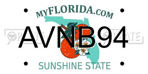 AVNB94 Florida License Plate