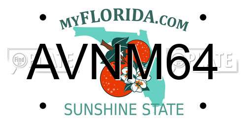 AVNM64 Florida License Plate