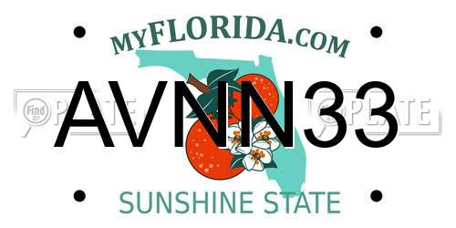 AVNN33 Florida License Plate