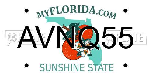 AVNQ55 Florida License Plate