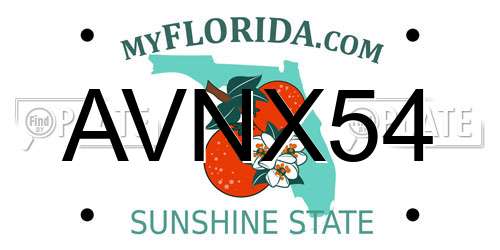 AVNX54 Florida License Plate