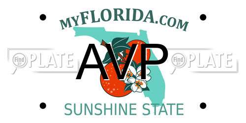 AVP Florida License Plate