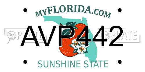AVP442 Florida License Plate