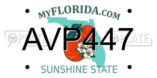 AVP447 Florida License Plate