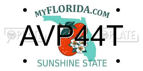 AVP44T Florida License Plate