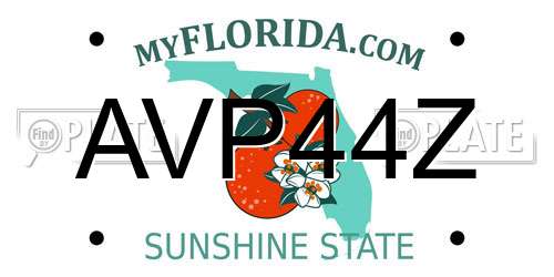 AVP44Z Florida License Plate