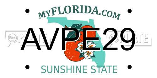 AVPE29 Florida License Plate