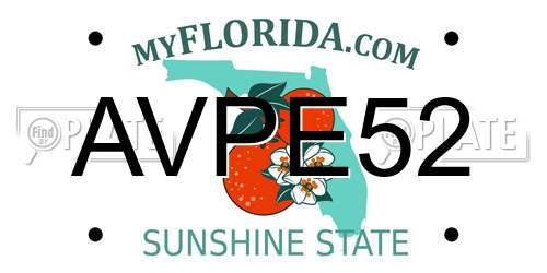 AVPE52 Florida License Plate