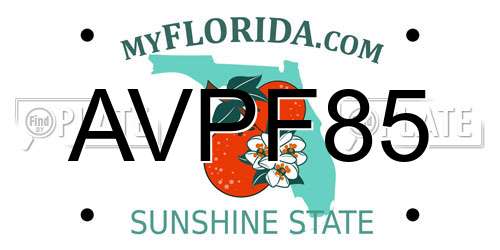 AVPF85 Florida License Plate