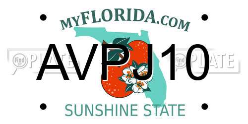 AVPJ10 Florida License Plate