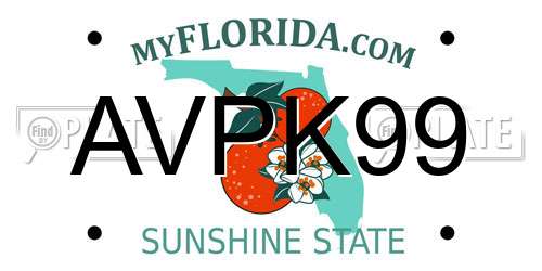 AVPK99 Florida License Plate
