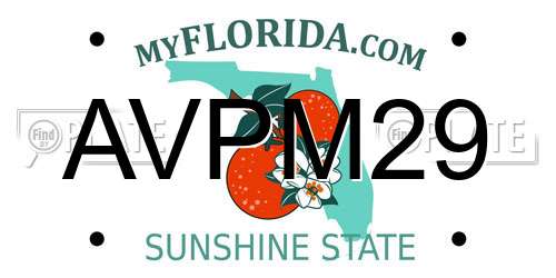 AVPM29 Florida License Plate