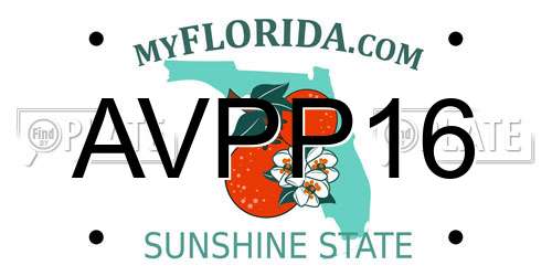 AVPP16 Florida License Plate