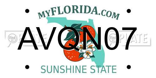 AVQN07 Florida License Plate