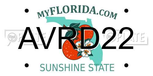 AVRD22 Florida License Plate