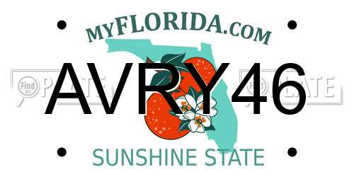 AVRY46 Florida License Plate