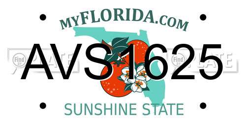 AVS1625 Florida License Plate