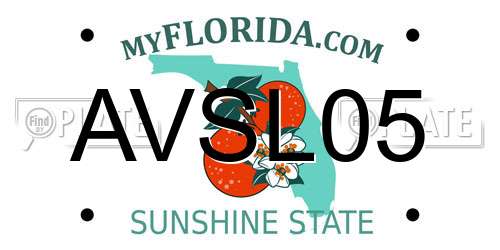 AVSL05 Florida License Plate