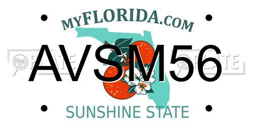 AVSM56 Florida License Plate