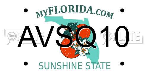 AVSQ10 Florida License Plate