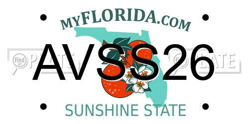 AVSS26 Florida License Plate