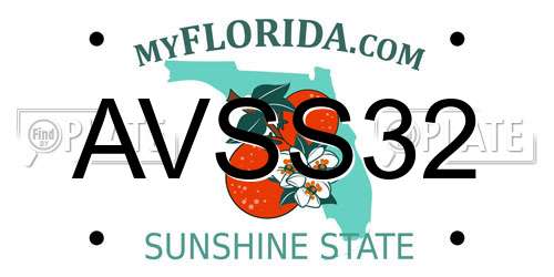 AVSS32 Florida License Plate