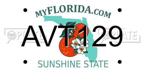 AVT129 Florida License Plate