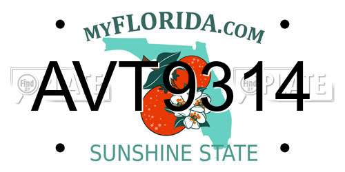 AVT9314 Florida License Plate